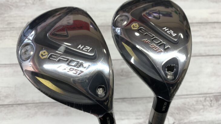 EPON AF-957 / GD RAUNE HYBRID